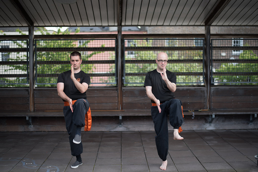 Tai chi White Crane